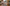 Plus Size Wedding Guest Dresses Guide 2026: How to Wear & Style Women