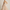 Best Prom Dresses in San Antonio, Texas — 2026 Shopping Guide