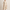 Best Wedding Guest Dresses in Dallas, Texas — 2026 Guide