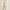 Best Wedding Guest Dresses in San Jose, California — 2026 Guide