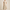 Best Wedding Guest Dresses in San Francisco, California — 2026 Guide