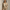 Best Women's Suits in Philadelphia, Pennsylvania — Work & Formal 2026
