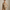 Best Women's Suits in San Jose, California — Work & Formal 2026