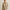 Best Women's Suits in Charlotte, North Carolina — Work & Formal 2026