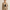 Best Women's Suits in San Francisco, California — Work & Formal 2026