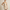 Best Cocktail Dresses in Las Vegas, Nevada — 2026 Style Guide