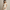 Best Graduation Dresses in Dallas, Texas — 2026 Guide