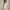 Best Graduation Dresses in Denver, Colorado — 2026 Guide