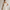 Best Graduation Dresses in Nashville, Tennessee — 2026 Guide