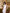 Céline White Satin Open-Back Halter Mermaid Maxi Dress