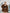 Brown Striped Wool Oversized Jacket Skirt Suit 2-Piece - view 8 | ELAGIA