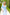 Sky-Blue Floral-Print Midi Dress - side view | ELAGIA