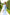 Sky-Blue Floral-Print Midi Dress - back view | ELAGIA