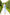 Sky-Blue Floral-Print Midi Dress - close-up detail | ELAGIA