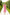 Red Floral-Print Midi Dress - front view | ELAGIA