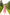 Red Floral-Print Midi Dress - close-up detail | ELAGIA