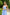 Sky-Blue Strappy Backless Midi Dress - close-up detail | ELAGIA
