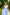 Sky-Blue Strappy Backless Midi Dress - styled look | ELAGIA