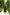 Black Strappy Backless Midi Dress - front view | ELAGIA