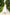 White Strappy Backless Midi Dress - front view | ELAGIA