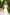 White Strappy Backless Midi Dress - close-up detail | ELAGIA