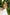 White Strappy Backless Midi Dress - side view | ELAGIA