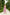 Dusty Pink Strappy Backless Midi Dress - back view | ELAGIA