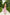 Dusty Pink Strappy Backless Midi Dress - close-up detail | ELAGIA