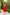 Red V-Neck Slip Dress - back view | ELAGIA