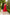 Red V-Neck Slip Dress - side view | ELAGIA