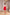 Monica Red Collared Sleeveless Mini Dress - styled look | ELAGIA