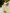 Isabelle Yellow Puff-Sleeve Pencil Midi Dress