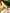 Yellow Crop Jacket Suit 2-Piece - view 8 | ELAGIA