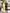 Yellow Crop Jacket Suit 2-Piece - view 10 | ELAGIA