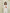 Gloria White Single-Breasted Suit 2-Piece - back view | ELAGIA