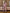 Gloria Beige Single-Breasted Suit 2-Piece - close-up detail | ELAGIA
