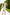 White Wrap Sleeveless Mini Dress - front view | ELAGIA