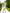 White Wrap Sleeveless Mini Dress - view 7 | ELAGIA