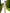 White Wrap Sleeveless Mini Dress - back view | ELAGIA