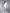 White Square Neck Long Sleeve Mini Dress - view 10 | ELAGIA