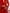 Monica Red Single-Breasted Suit 2-Piece - Detail View | ELAGIA