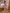 Dusty-Pink Square Neck Puff-Sleeve Midi Dress - styled look | ELAGIA