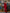 Celeste Red Satin Asymmetric One-Shoulder Midi Dress - view 8 | ELAGIA