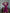 Bella Bordeaux Choker-Neck Puff Sleeve Mini Dress - view 8 | ELAGIA