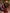 Stella Bordeaux Long-Sleeve Cut-Out Maxi Dress - view 12 | ELAGIA