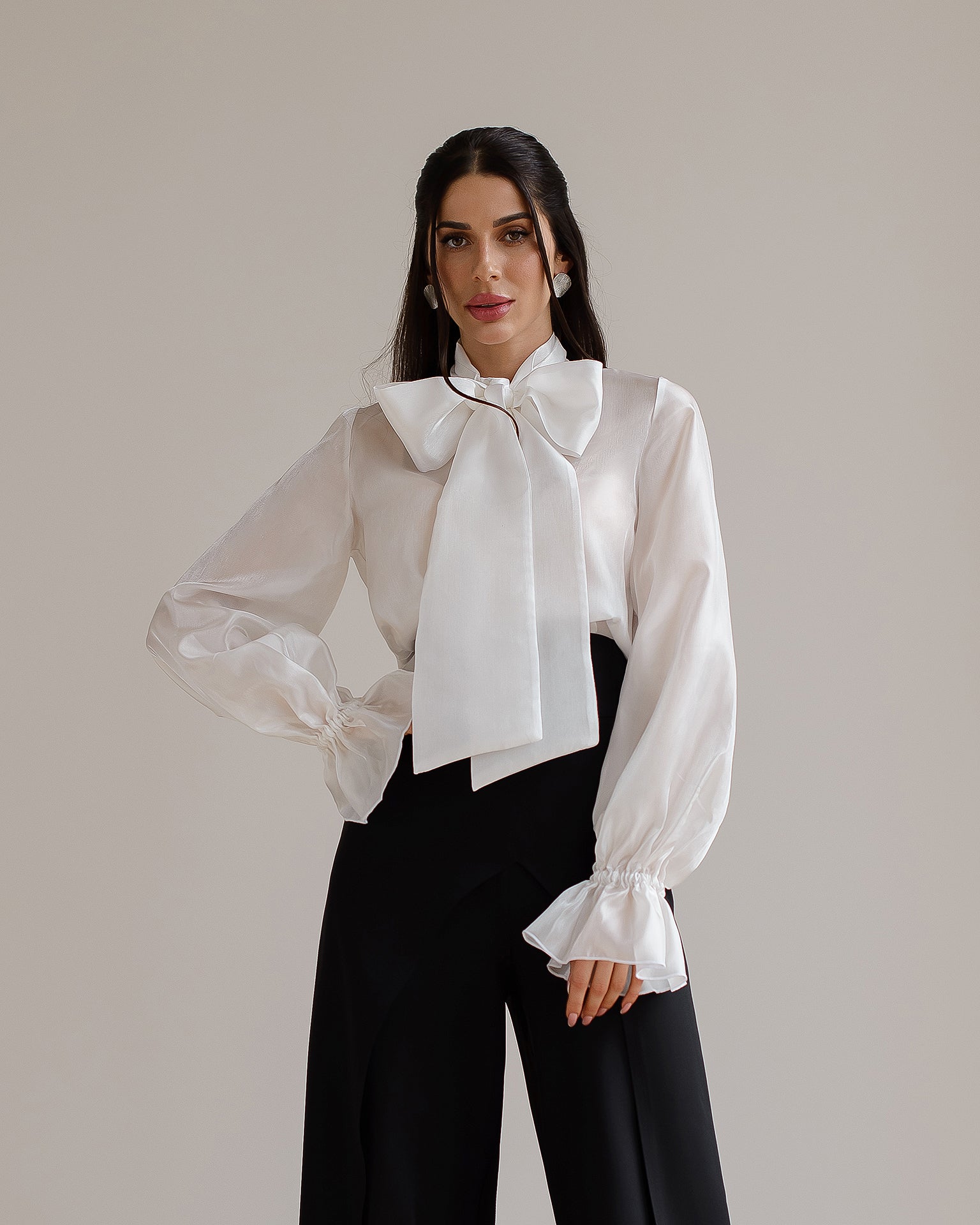 Puff sleeve sheer blouse on sale