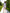 White Puff Sleeve Mini Dress - styled look | ELAGIA
