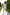 White Puff Sleeve Mini Dress - front view | ELAGIA
