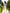 White Puff Sleeve Mini Dress - close-up detail | ELAGIA