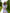 White Puff Sleeve Mini Dress - side view | ELAGIA